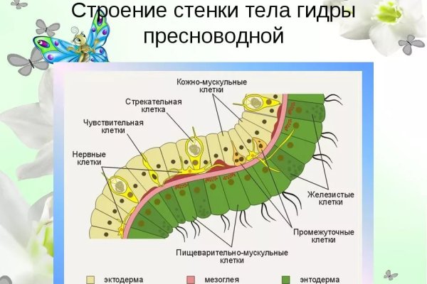 Kraken darknet официальный