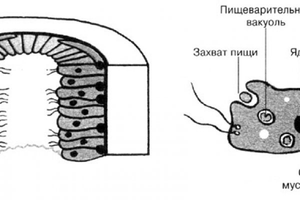 Kraken как зайти