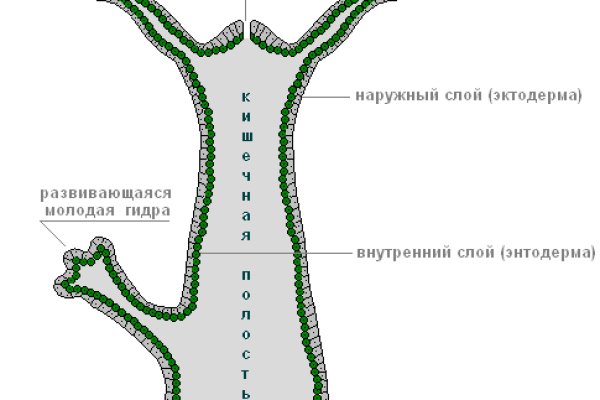 Kraken at сайт