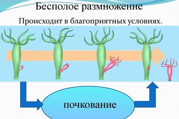 Кракен работает