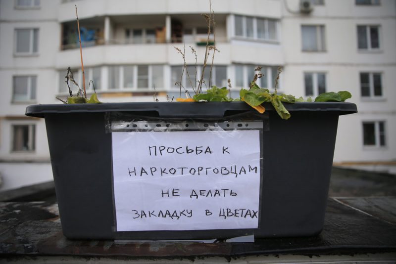 Значок кракена маркетплейса